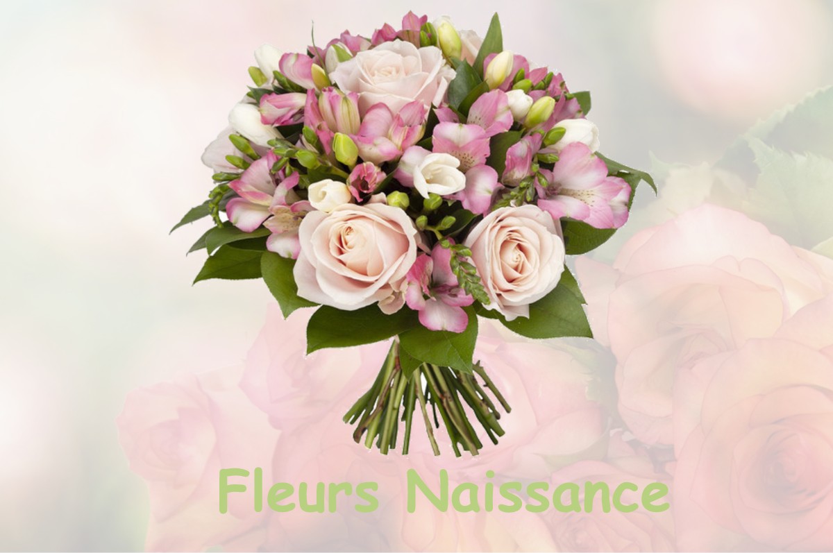 fleurs naissance PUYLOUBIER