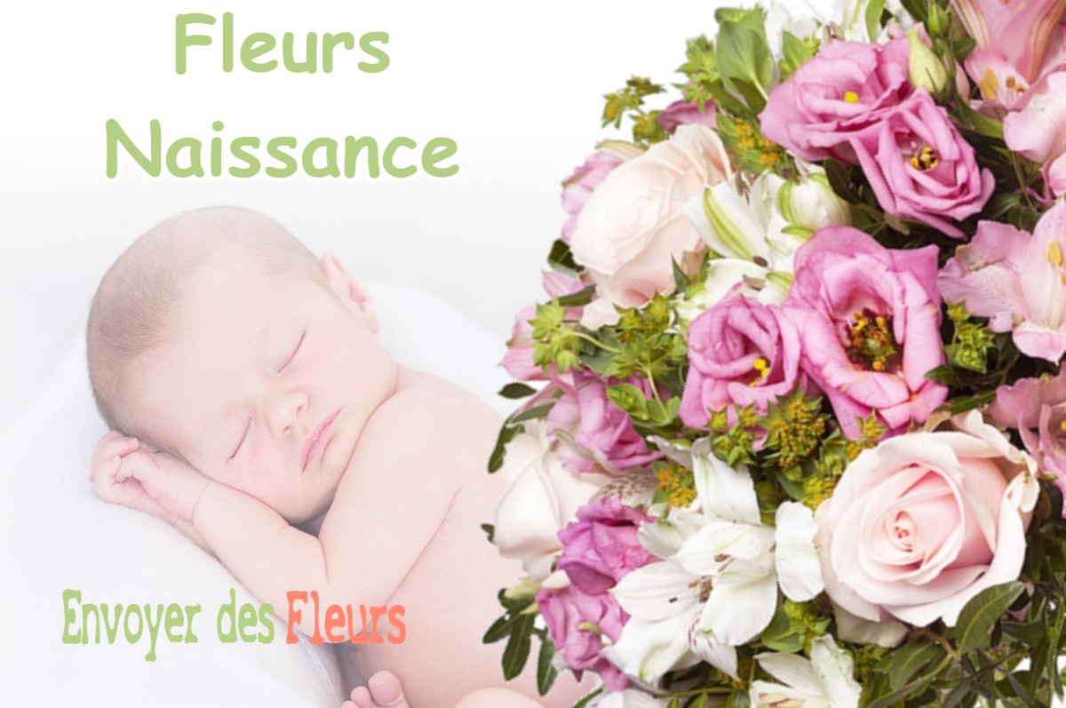 lIVRAISON FLEURS NAISSANCE à PUYLOUBIER