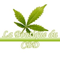 LA BOUTIQUE DU CBD PUYLOUBIER 